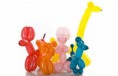 /album/galerie-de-photos-atelier-sulpture-de-ballons/sculpture-de-ballon-417x268-jpg/